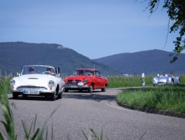 145_Wahl Walter_Auto Union 1000 SP Roadster_1960_20240511.jpg